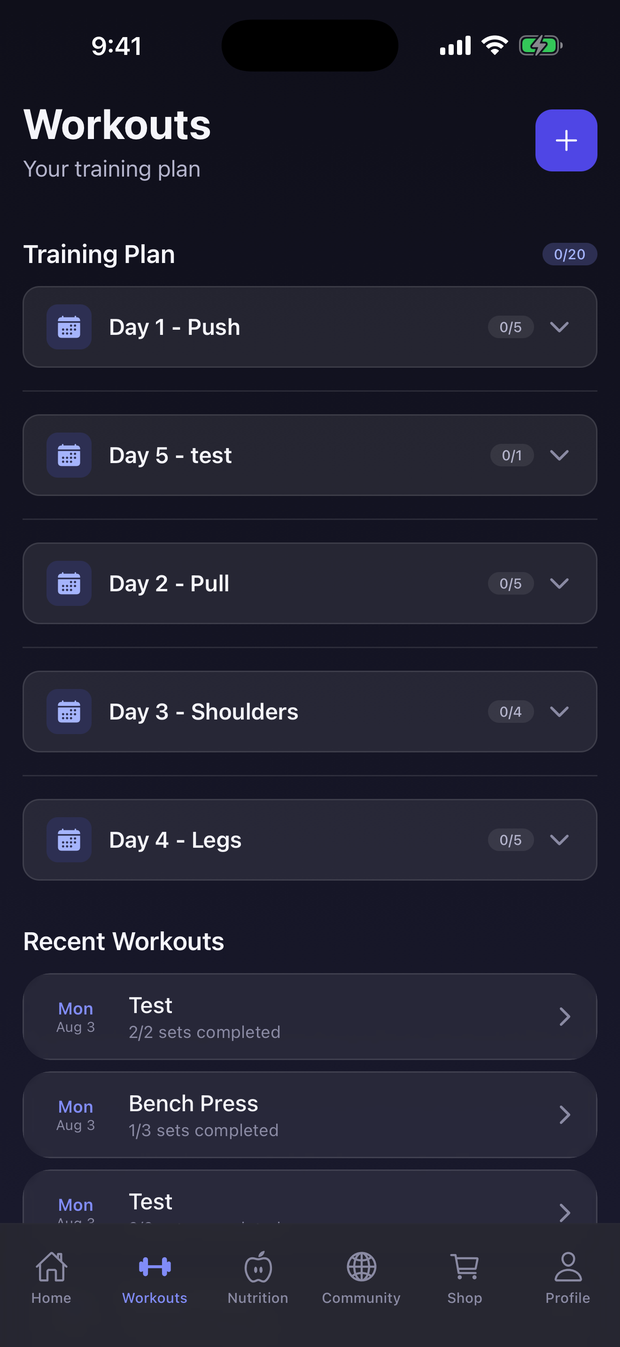 Training plan grouped by day, each exercise showing sets and completion